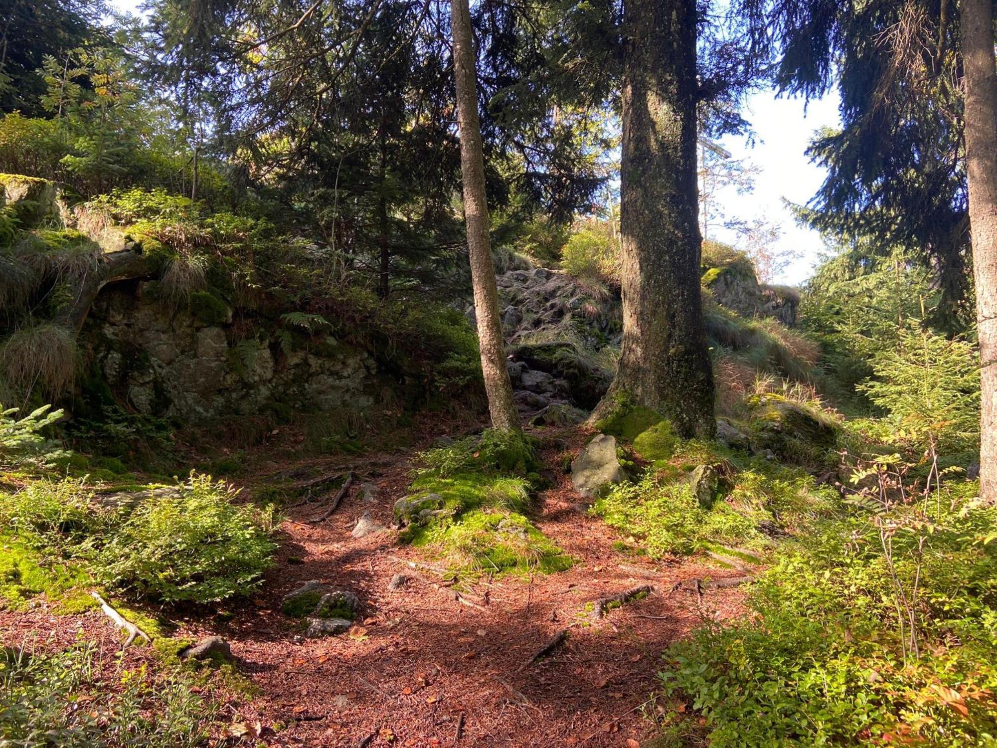 Landgasthof Brandtner Wirt Langdorf  Εξωτερικό φωτογραφία