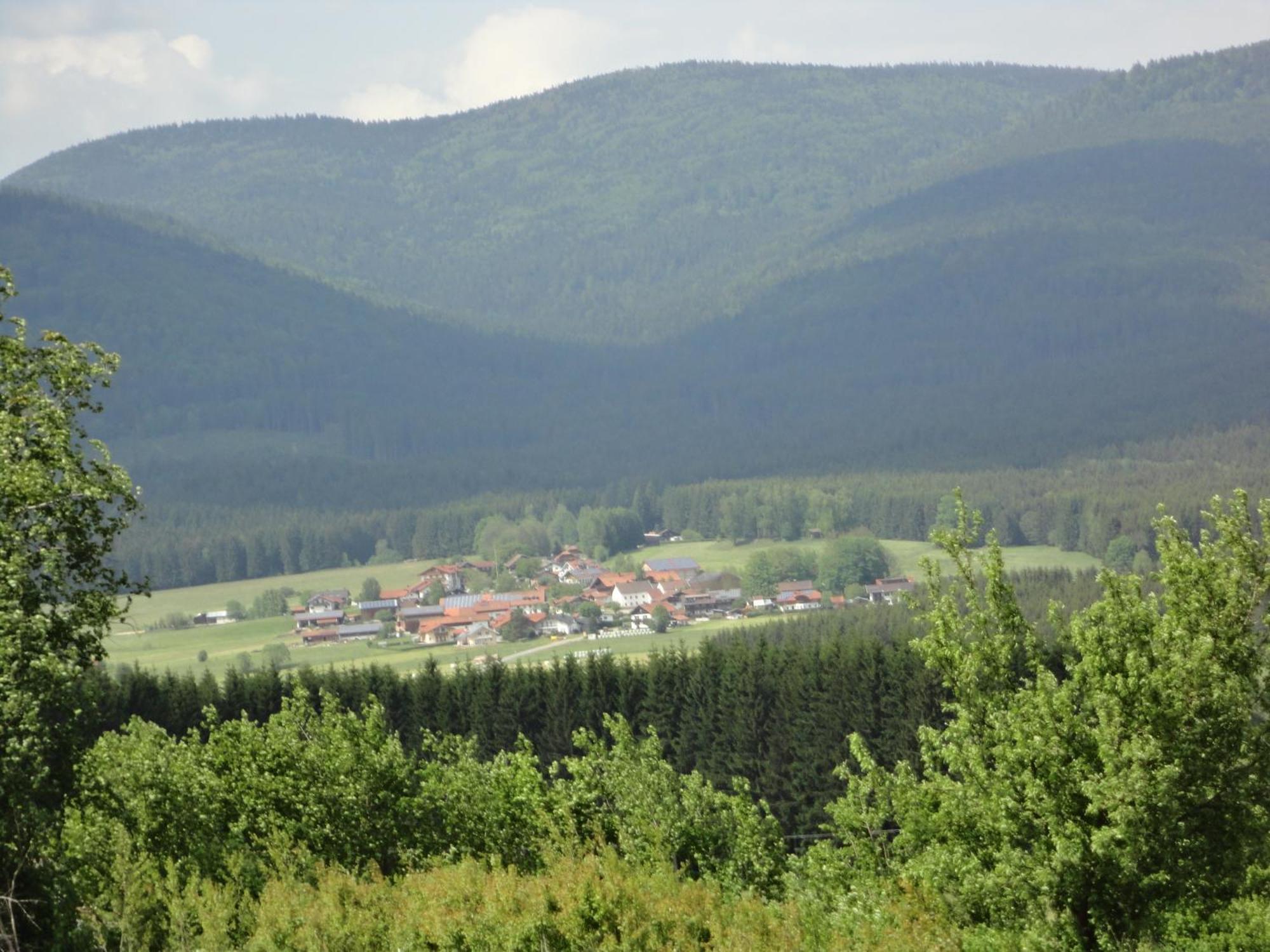 Landgasthof Brandtner Wirt Langdorf  Εξωτερικό φωτογραφία
